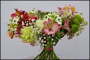 www.floristic.ru - .  " " 9-13  