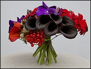 www.floristic.ru - .  " " 9-13  