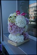 www.floristic.ru - .   ....