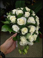 www.floristic.ru - .  