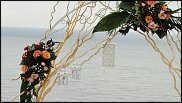 www.floristic.ru - .    