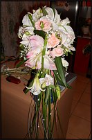 www.floristic.ru - .  