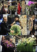 www.floristic.ru - .    FLORAL REVOLUTION     , 