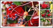 www.floristic.ru - .  