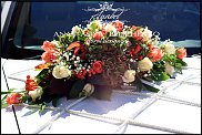 www.floristic.ru - .  .