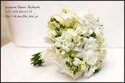 www.floristic.ru - .  .