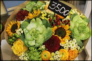 www.floristic.ru - .       ...