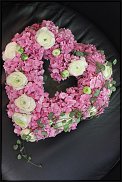 www.floristic.ru - .       ...