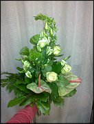 www.floristic.ru - .       ...