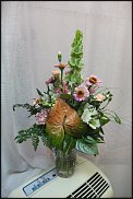 www.floristic.ru - .       ...