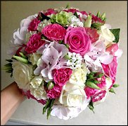 www.floristic.ru - .  .