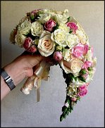 www.floristic.ru - .  .