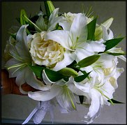 www.floristic.ru - .  .