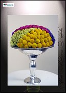 www.floristic.ru - .  