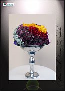 www.floristic.ru - .  