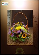 www.floristic.ru - .  