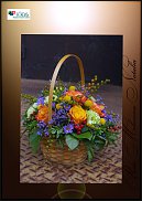 www.floristic.ru - .  