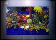 www.floristic.ru - .  