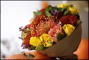 www.floristic.ru - .       ...