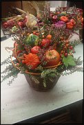 www.floristic.ru - .       ...