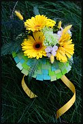 www.floristic.ru - .   