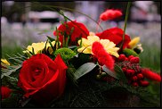 www.floristic.ru - .  !!