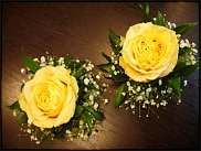 www.floristic.ru - .      .