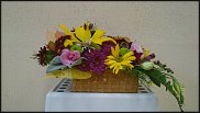 www.floristic.ru - .  