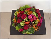 www.floristic.ru - . WEB      " WEB format"