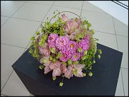 www.floristic.ru - . WEB      " WEB format"