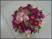 www.floristic.ru - . WEB      " WEB format"