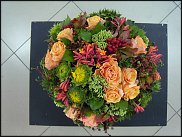 www.floristic.ru - . WEB      " WEB format"