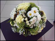 www.floristic.ru - . WEB      " WEB format"