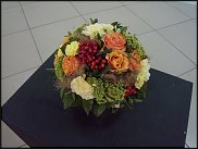 www.floristic.ru - . WEB      " WEB format"