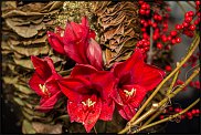 www.floristic.ru - Флористика. Рождественский показ «Floral Revolution»