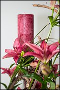 www.floristic.ru - .   Floral Revolution