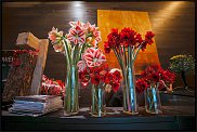 www.floristic.ru - .    FLORAL REVOLUTION     , 