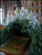 www.floristic.ru - .   "   "
