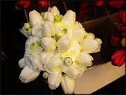 www.floristic.ru - .      .