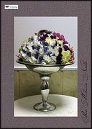www.floristic.ru - .  