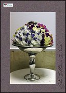 www.floristic.ru - .  