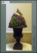 www.floristic.ru - .  