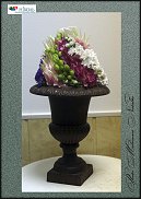 www.floristic.ru - .  