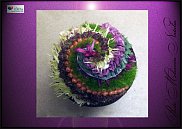 www.floristic.ru - .  