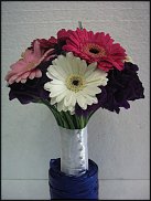 www.floristic.ru - .  