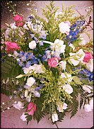 www.floristic.ru - .  