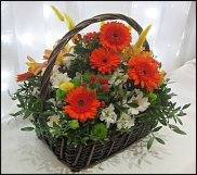 www.floristic.ru - . ,  .