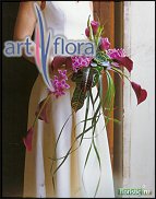 www.floristic.ru - .  .