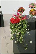 www.floristic.ru - . WEB      " WEB format"