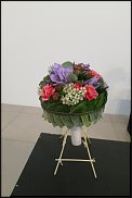 www.floristic.ru - . WEB      " WEB format"